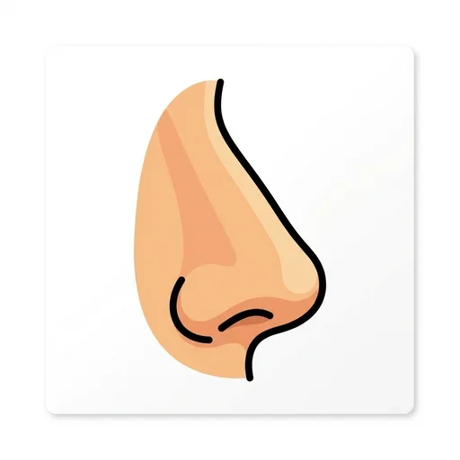 Nose