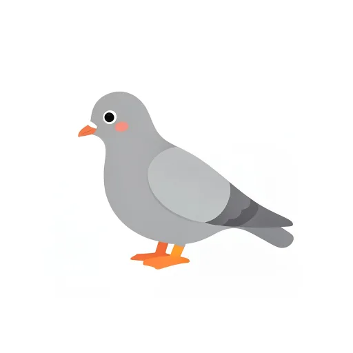 Pigeon — kabūtar