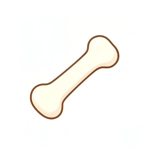 Bone — haḍḍī