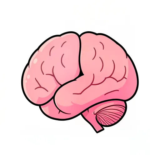 Brain — dimāg