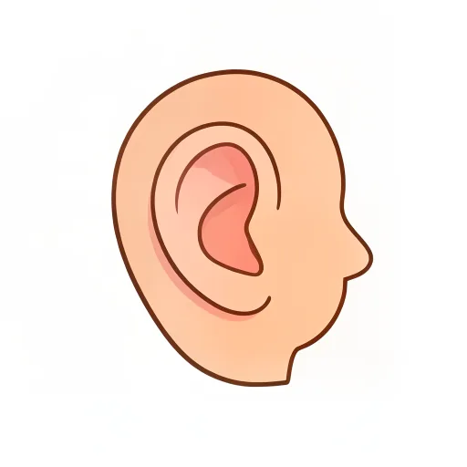 Ear — kann