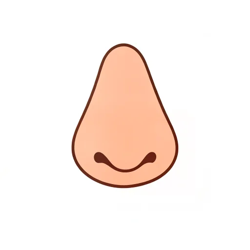 Nose — nakk
