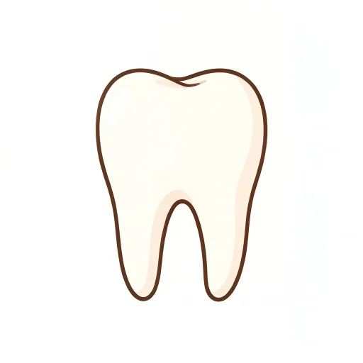 Tooth — dand