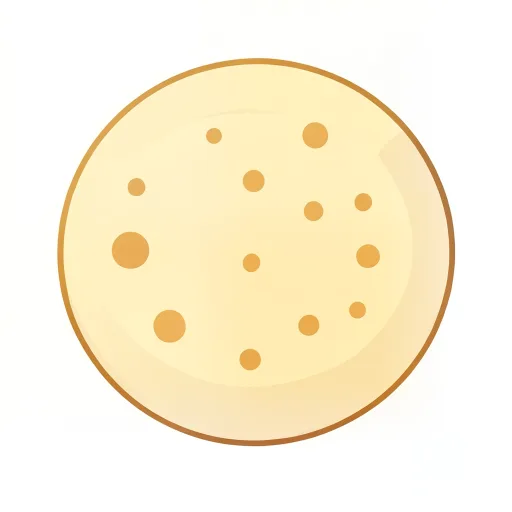 Bread (Roti) — roṭī