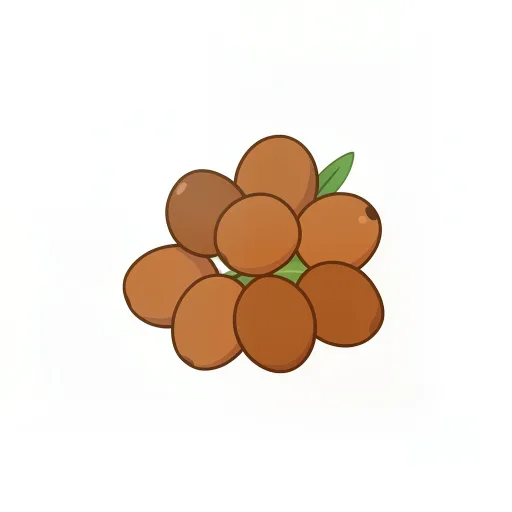 Dates — khajūr