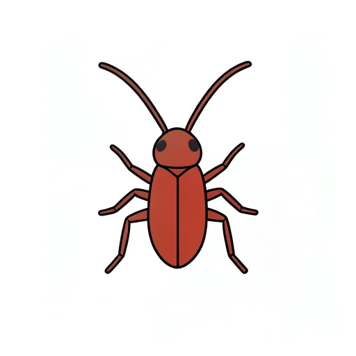 Cockroach — tilchaṭṭā