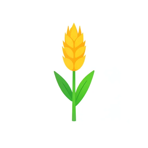 Wheat — kaṇak