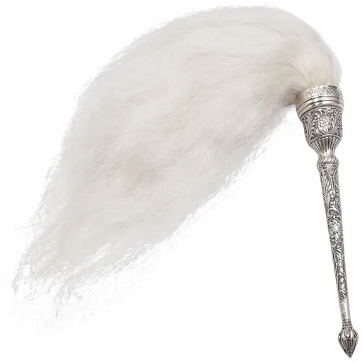 Chaur Sahib in Punjabi — ਚੌਰ ਸਾਹਿਬ (chaur sāhib)