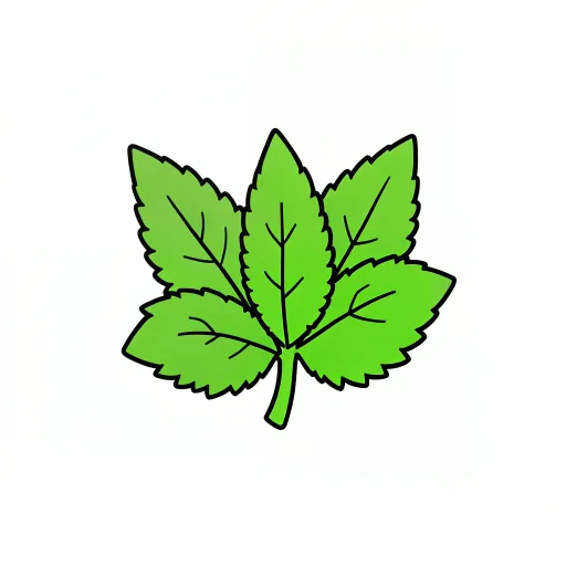 Mint — pudīnā