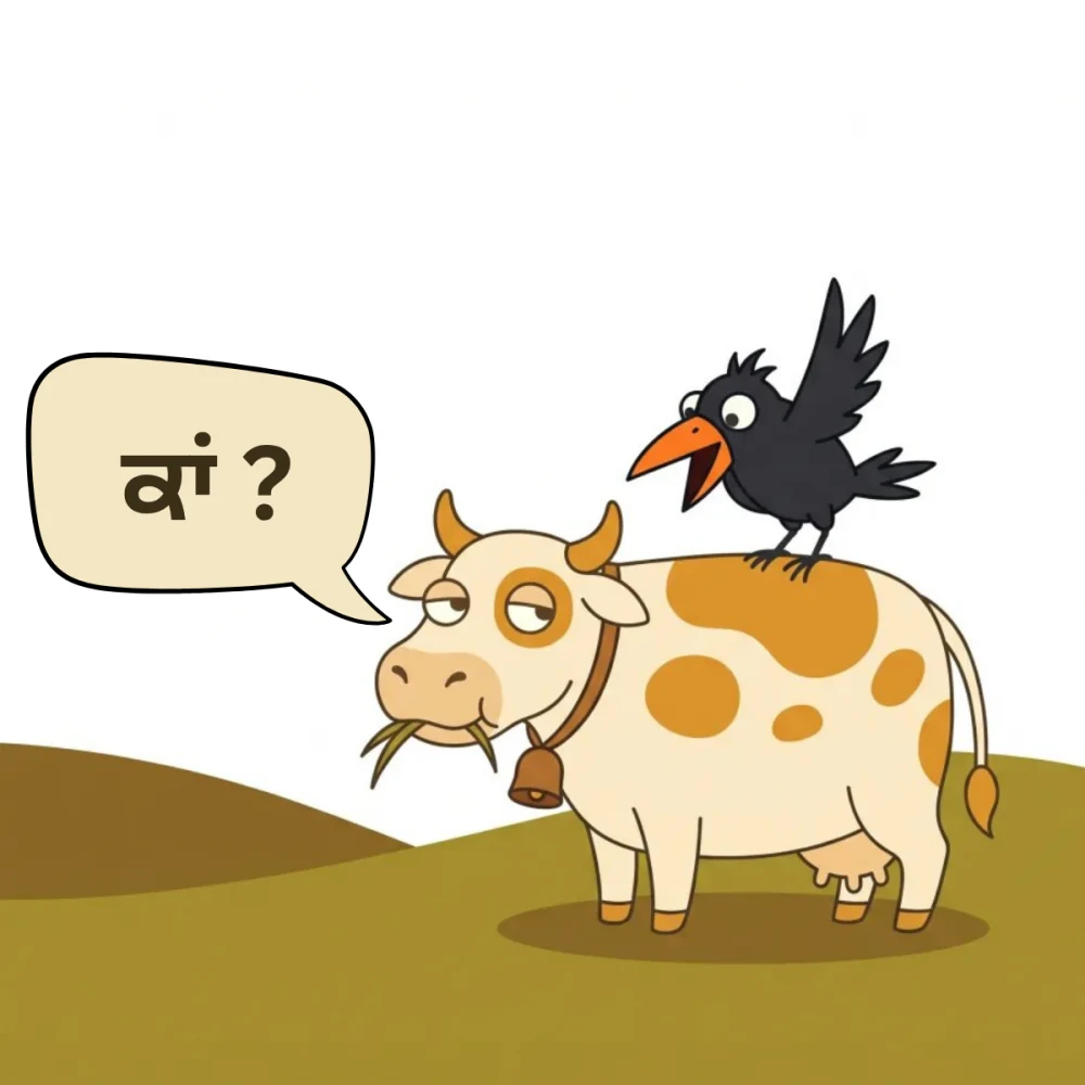 ਕਾਂ?