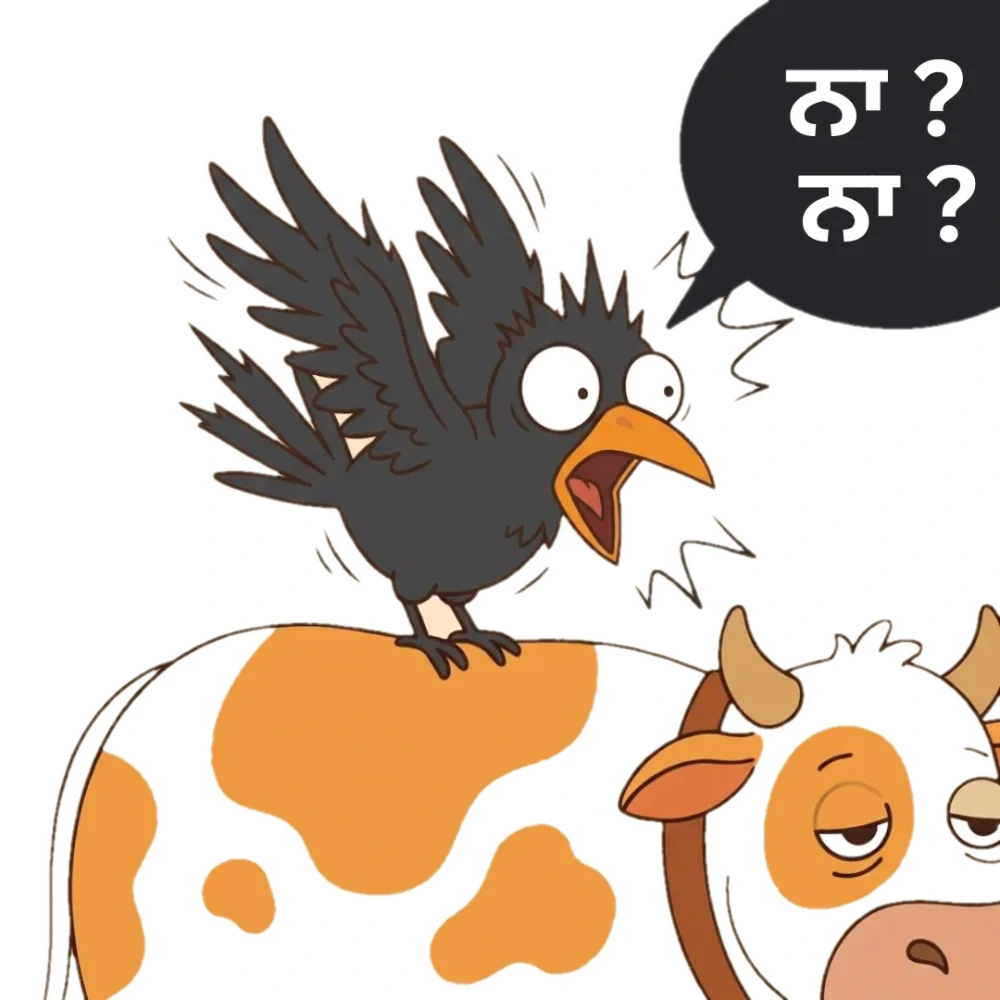ਨਾ? ਨਾ?