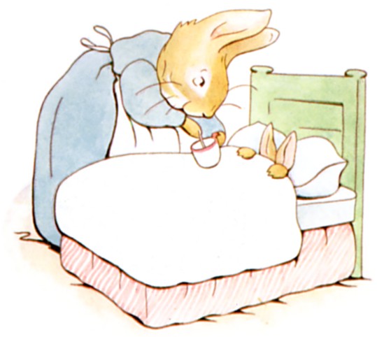 The Tale of Peter Rabbit — bilingual Punjabi and English story