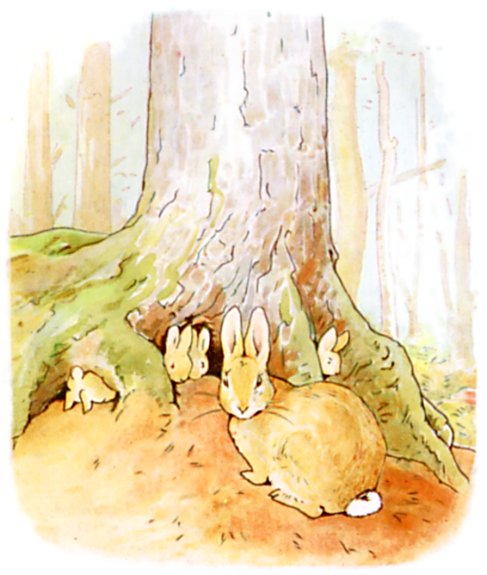 Chapter 1: The Old Fir Tree illustration 2