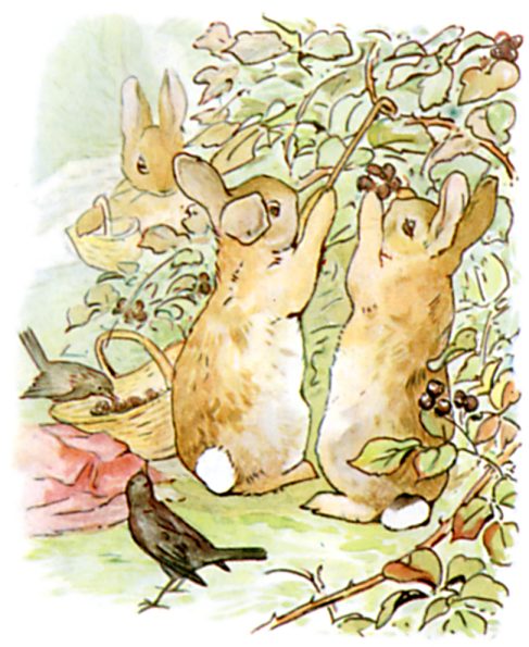 Chapter 3: Into the Garden illustration 1