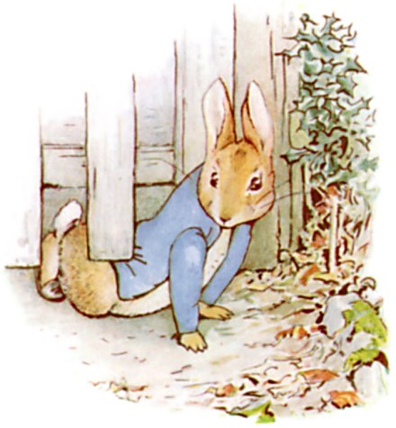 Chapter 3: Into the Garden illustration 2