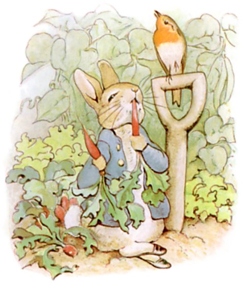 Chapter 3: Into the Garden illustration 3