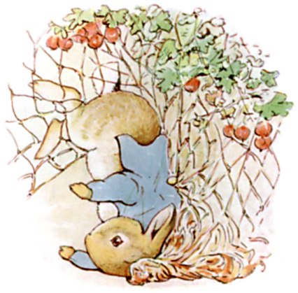 Chapter 5: Caught in the Net illustration 1