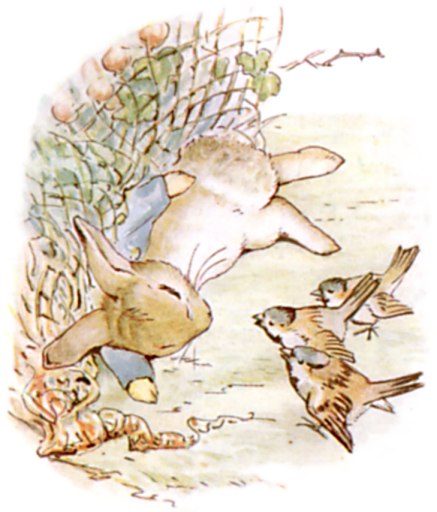 Chapter 5: Caught in the Net illustration 2