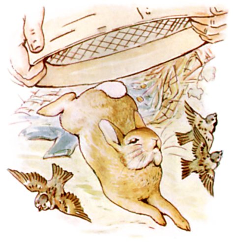 Chapter 5: Caught in the Net illustration 3