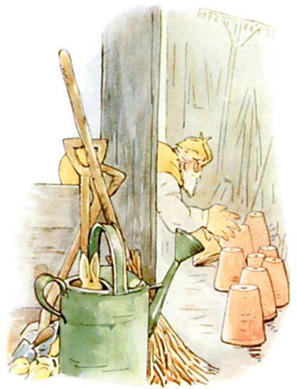 Chapter 6: Sneezing in the Tool-Shed illustration 1