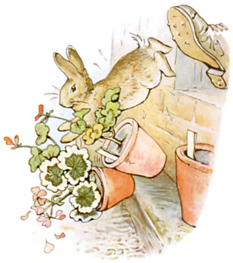 Chapter 6: Sneezing in the Tool-Shed illustration 2