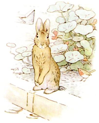 Chapter 6: Sneezing in the Tool-Shed illustration 3